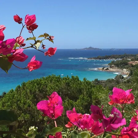 Barbicaj'alta Ajaccio (Corsica)
